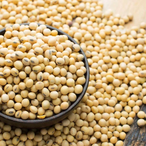 Soya Beans