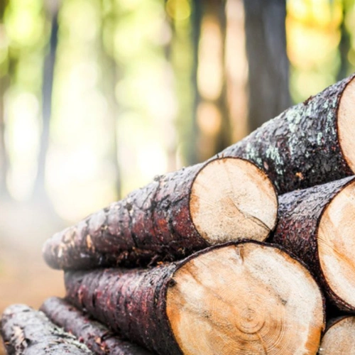 Timber Wood